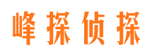 盘县寻人公司